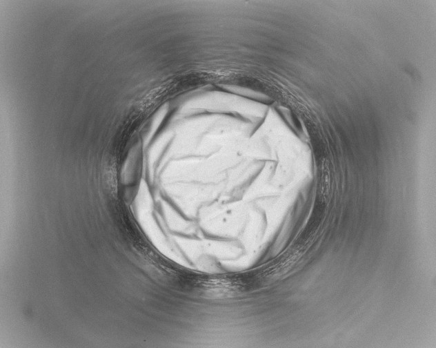 X0000116140562200912211450