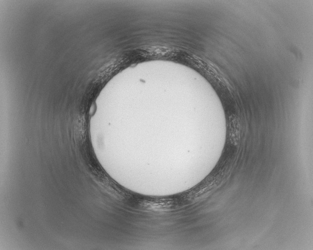 X0000116140563200912211450