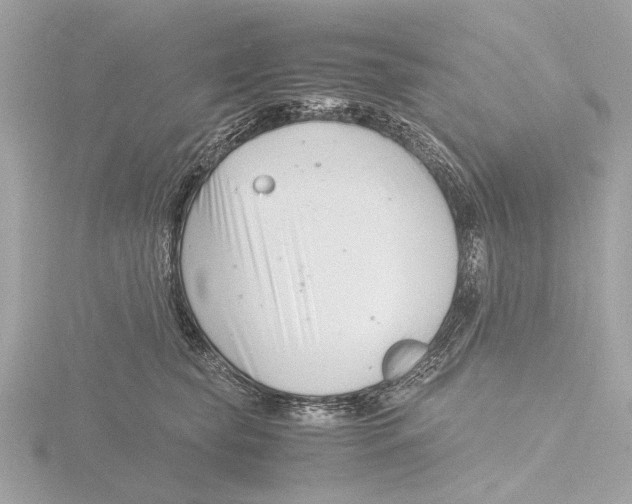 X0000116140565200912211451