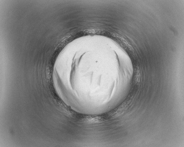 X0000116140569200912211451