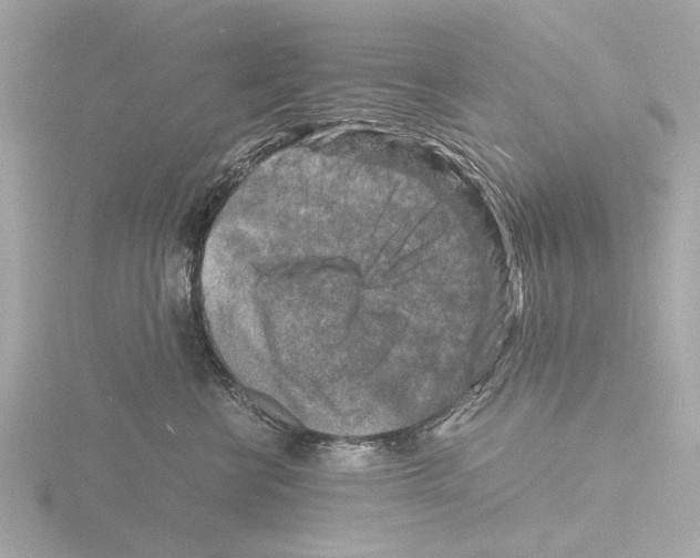 X0000116140570200912211451