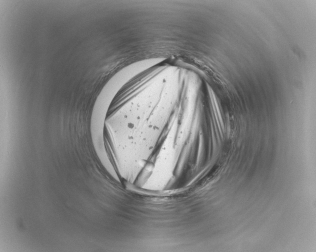 X0000116140575200912211451