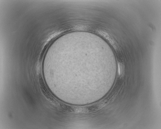 X0000116140579200912211450