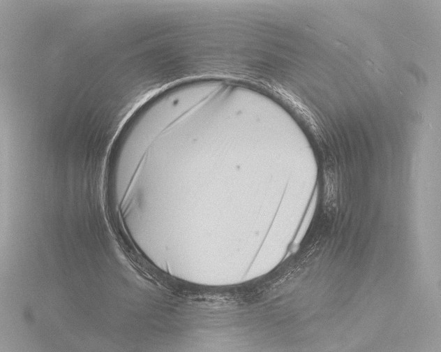 X0000116140580200912211450