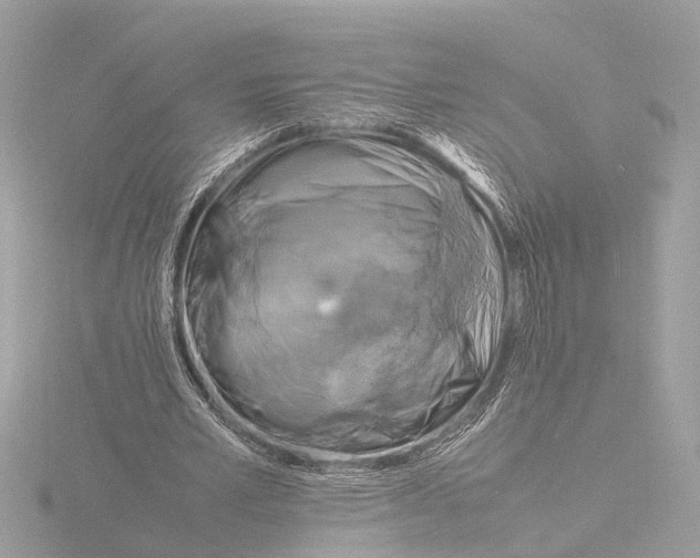 X0000116140581200912211450