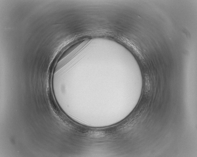 X0000116140582200912211450