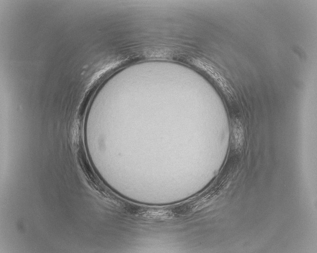 X0000116140583200912211450