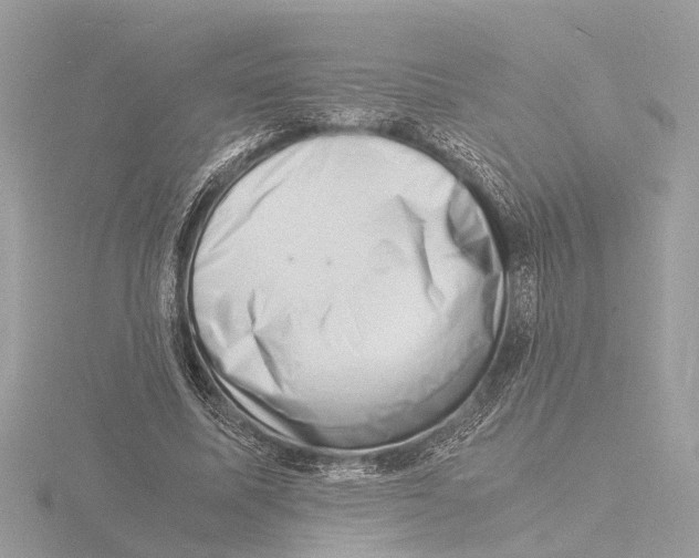 X0000116140587200912211450