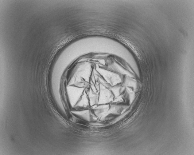 X0000116140589200912211450