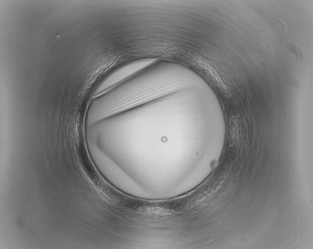 X0000116140590200912211450