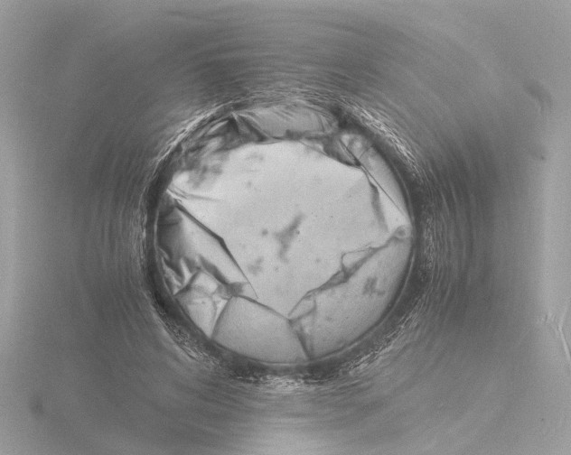 X0000116140592200912211450