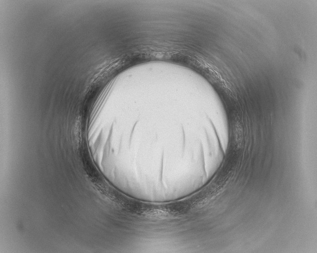 X0000116140594200912211450