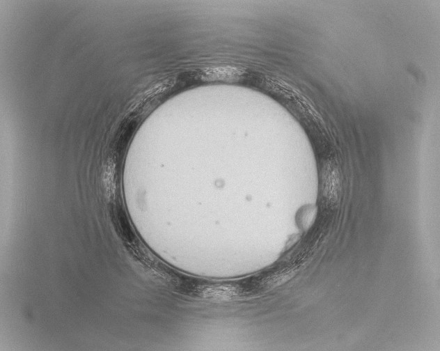 X0000116140599200912211450