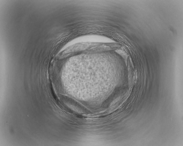 X0000116140605200912211450