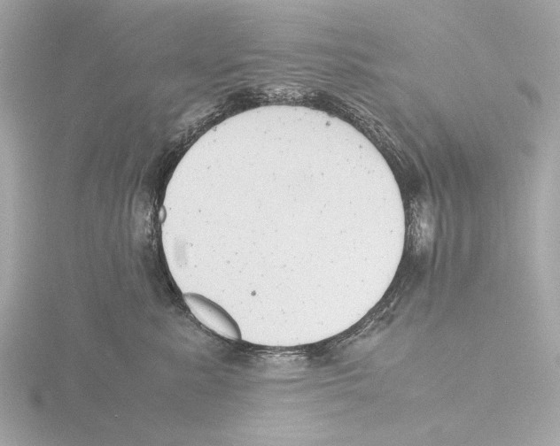 X0000116140619200912211450