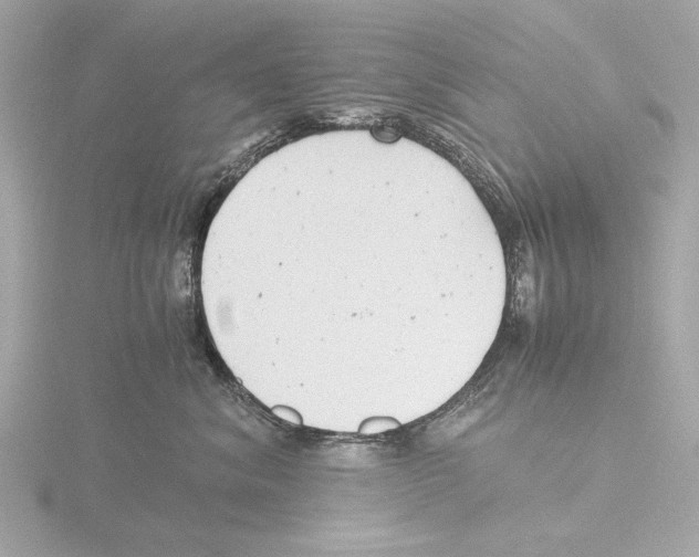 X0000116140620200912211449