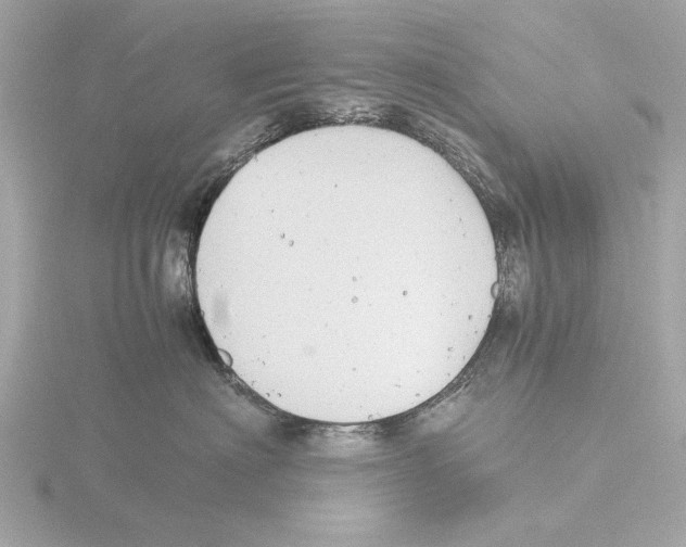 X0000116140622200912211449