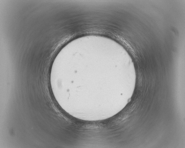 X0000116140625200912211449