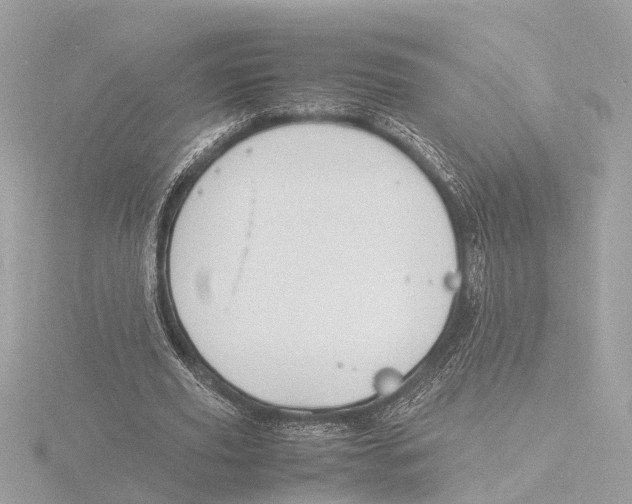 X0000116140629200912211449