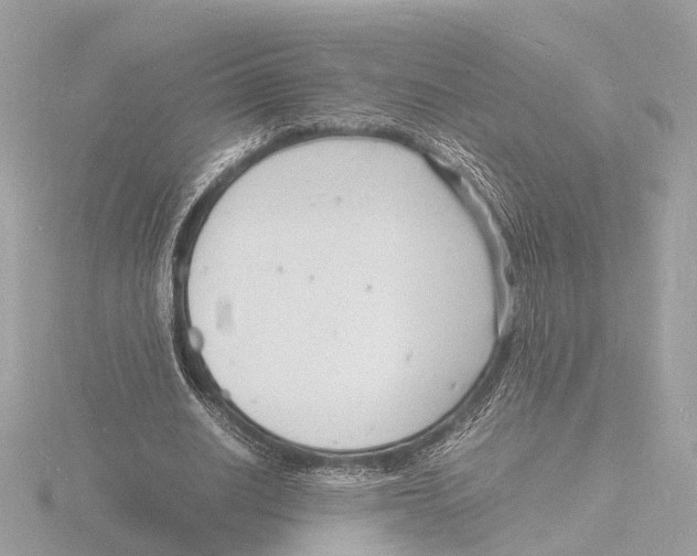 X0000116140630200912211449