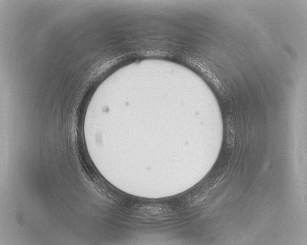 X0000116140631200912211449