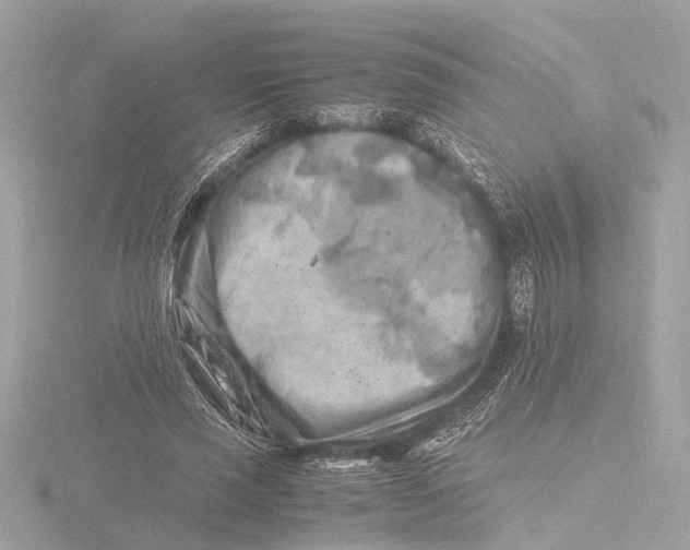 X0000116140637200912211449