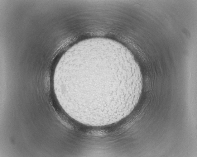 X0000116140638200912211449