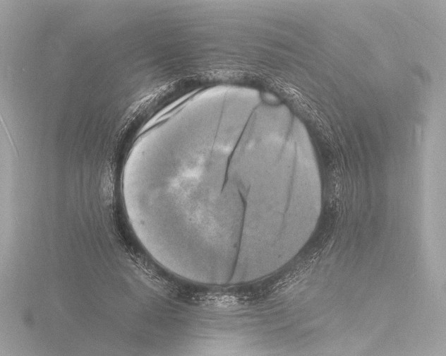 X0000116140640200912211449