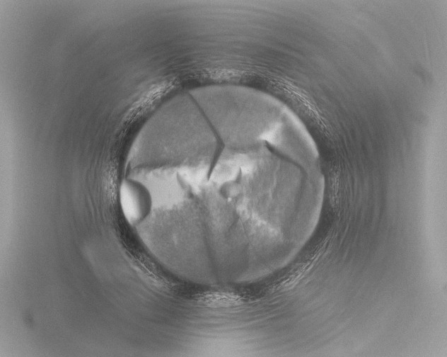 X0000116140644200912211449