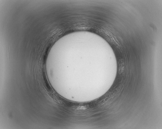 X0000116140647200912211449