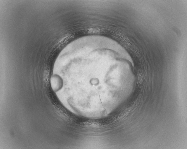 X0000116140648200912211449