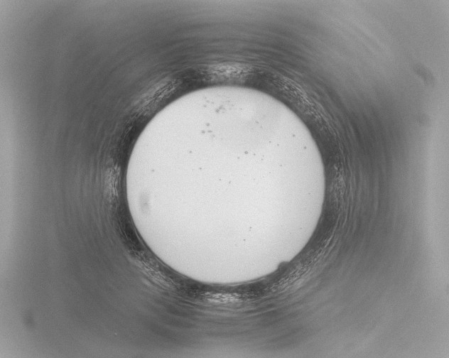 X0000116140649200912211449