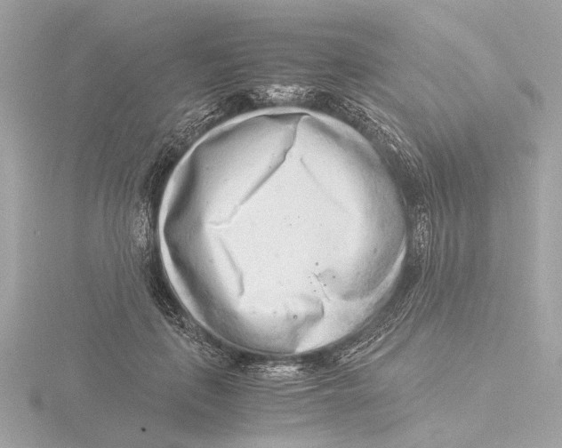 X0000116140651200912211449