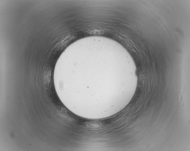 X0000116140652200912211449