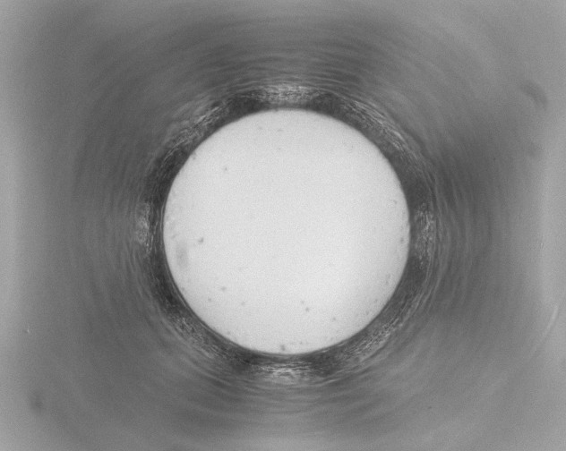 X0000116140655200912211449