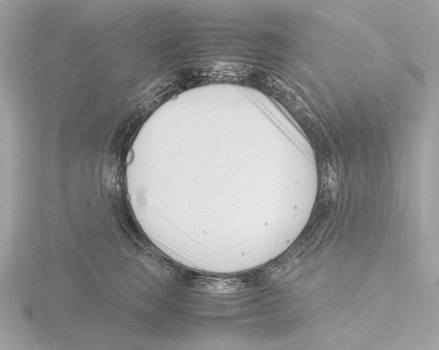 X0000116140663200912211449