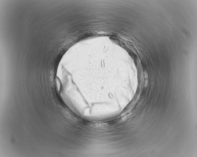 X0000116140670200912211449