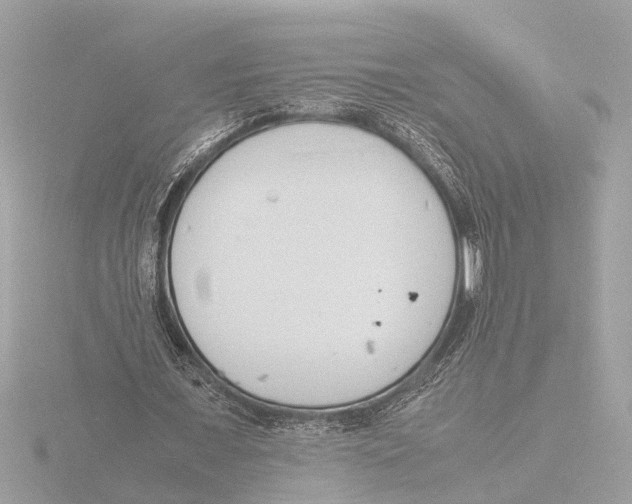 X0000116140675200912211449