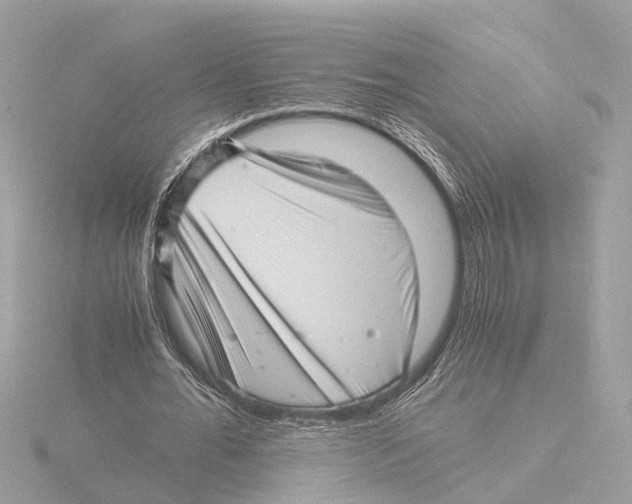 X0000116140676200912211449