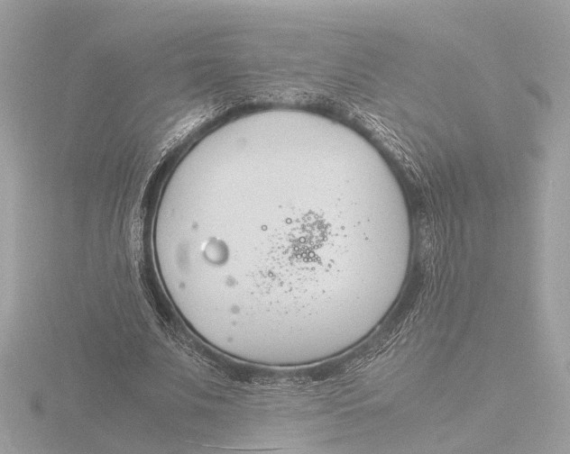 X0000116140679200912211449