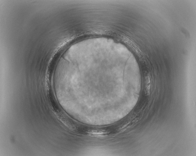 X0000116140680200912211449