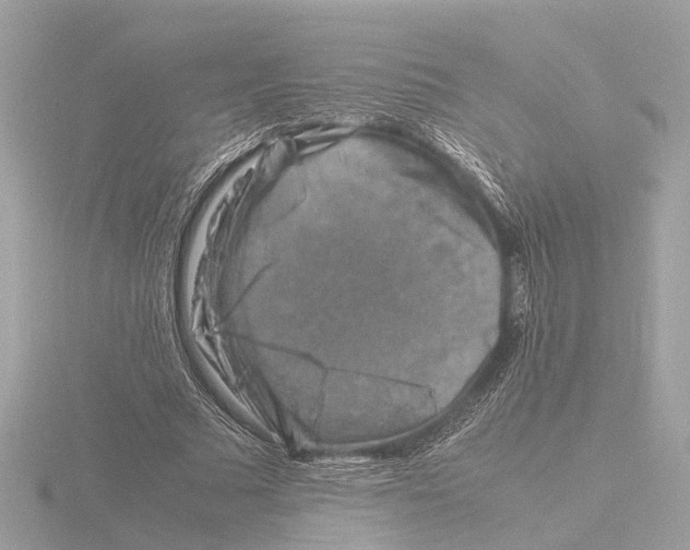 X0000116140681200912211449