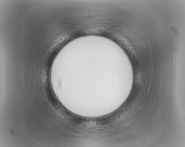 X0000116140687200912211449