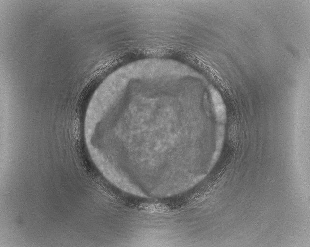 X0000116140689200912211449