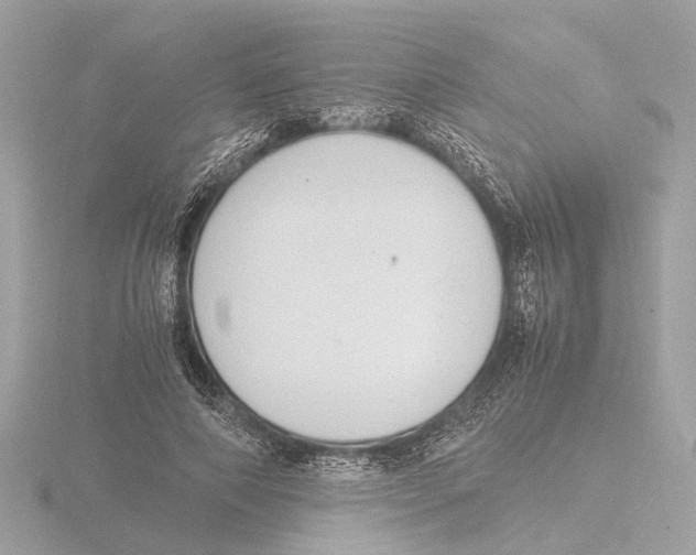 X0000116140690200912211449