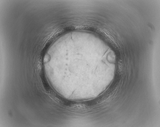 X0000116140691200912211449