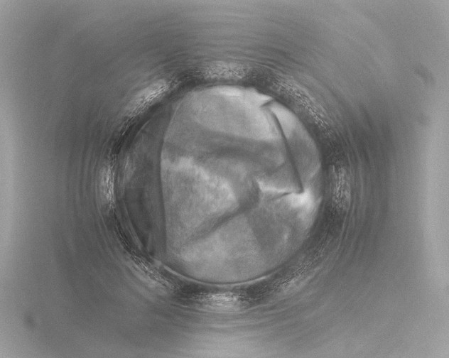 X0000116140692200912211449