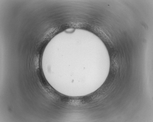 X0000116140694200912211449