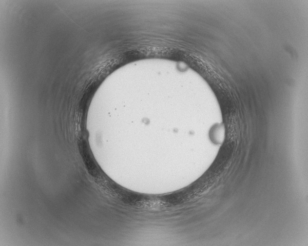 X0000116140695200912211449