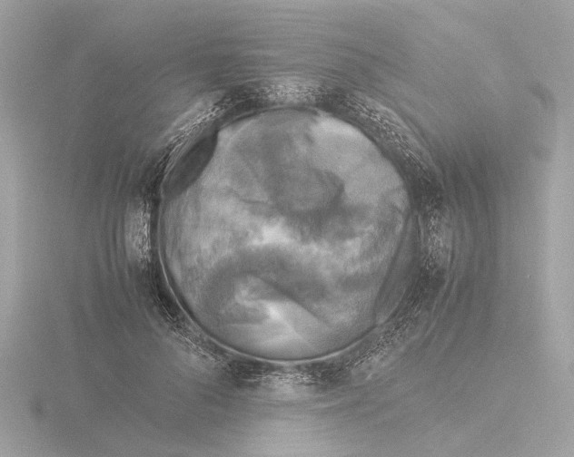 X0000116140696200912211449